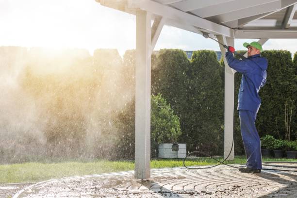 Best Sign and Awning Cleaning  in Long Prairie, MN