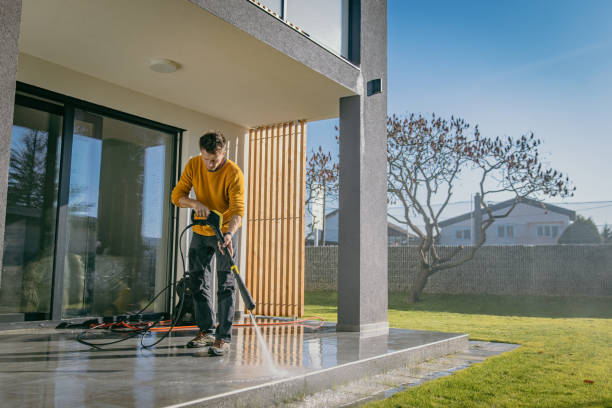 Best Solar Panel Cleaning  in Long Prairie, MN