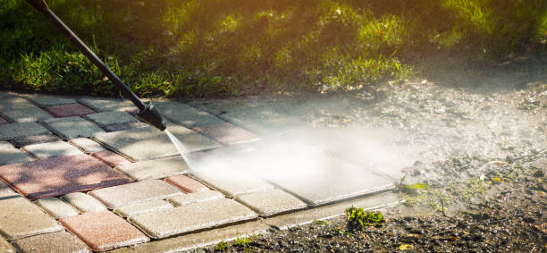 Best Sidewalk and Walkway Cleaning  in Long Prairie, MN