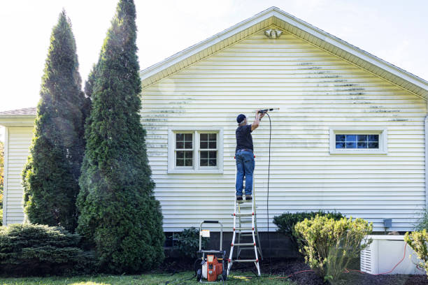 Best Fence Cleaning  in Long Prairie, MN