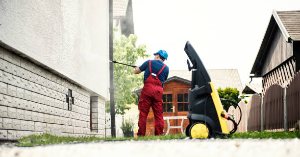 Best Spring Cleaning  in Long Prairie, MN